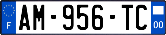 AM-956-TC