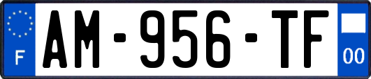 AM-956-TF