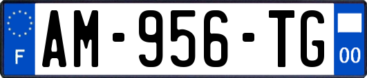 AM-956-TG