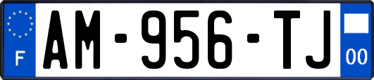 AM-956-TJ
