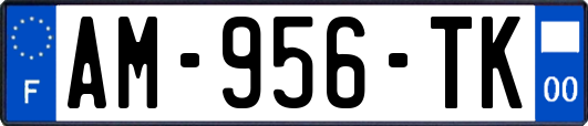 AM-956-TK