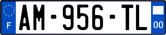 AM-956-TL