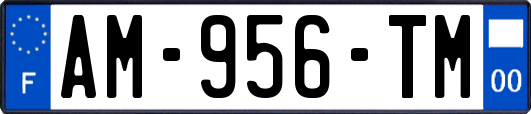 AM-956-TM