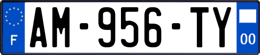 AM-956-TY