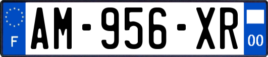 AM-956-XR