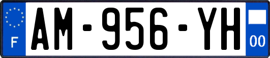 AM-956-YH