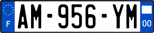 AM-956-YM