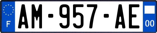 AM-957-AE