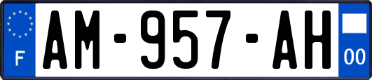 AM-957-AH