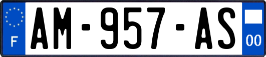 AM-957-AS