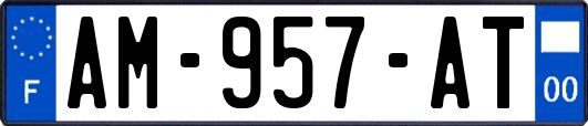 AM-957-AT