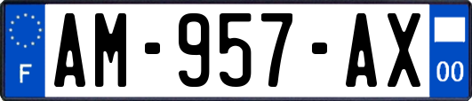 AM-957-AX