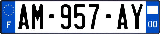 AM-957-AY