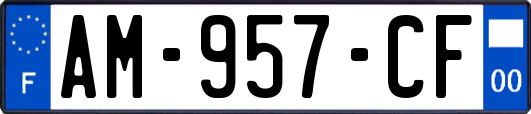 AM-957-CF