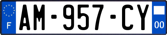 AM-957-CY