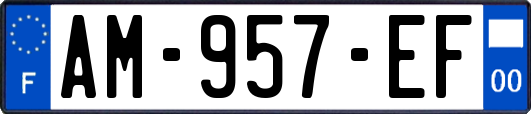 AM-957-EF