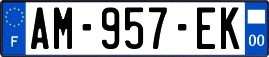 AM-957-EK