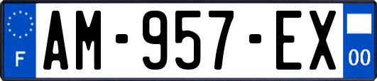 AM-957-EX