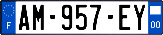 AM-957-EY