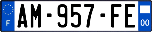 AM-957-FE