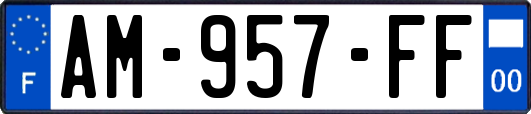 AM-957-FF
