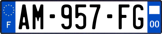 AM-957-FG