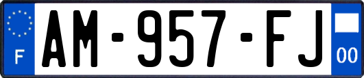 AM-957-FJ