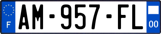 AM-957-FL