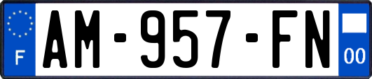 AM-957-FN
