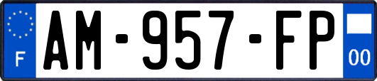 AM-957-FP