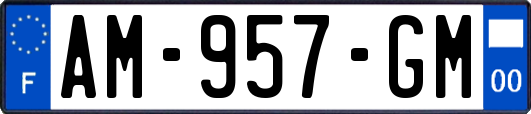 AM-957-GM