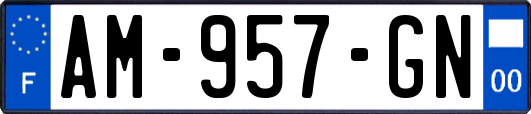 AM-957-GN