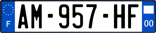 AM-957-HF