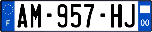 AM-957-HJ