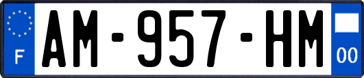 AM-957-HM
