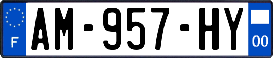 AM-957-HY