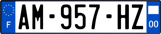 AM-957-HZ