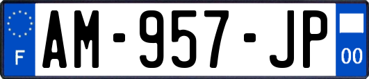 AM-957-JP