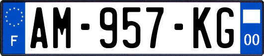 AM-957-KG