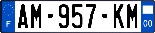 AM-957-KM