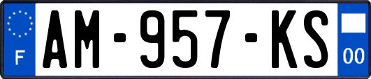 AM-957-KS