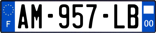 AM-957-LB