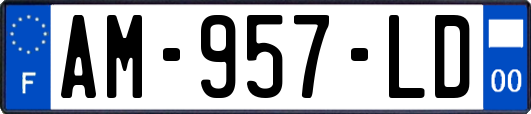 AM-957-LD