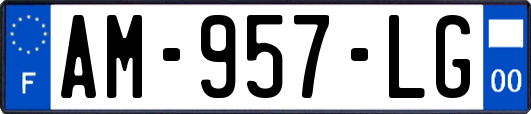 AM-957-LG