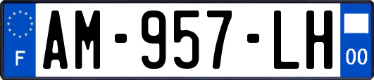 AM-957-LH