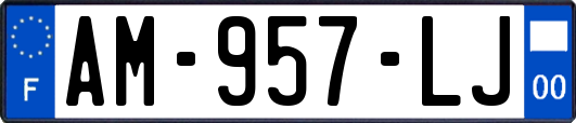 AM-957-LJ