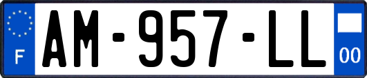 AM-957-LL