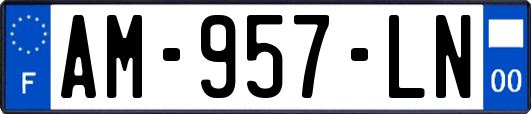 AM-957-LN