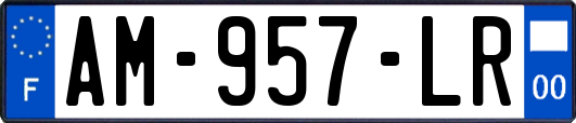 AM-957-LR