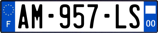 AM-957-LS